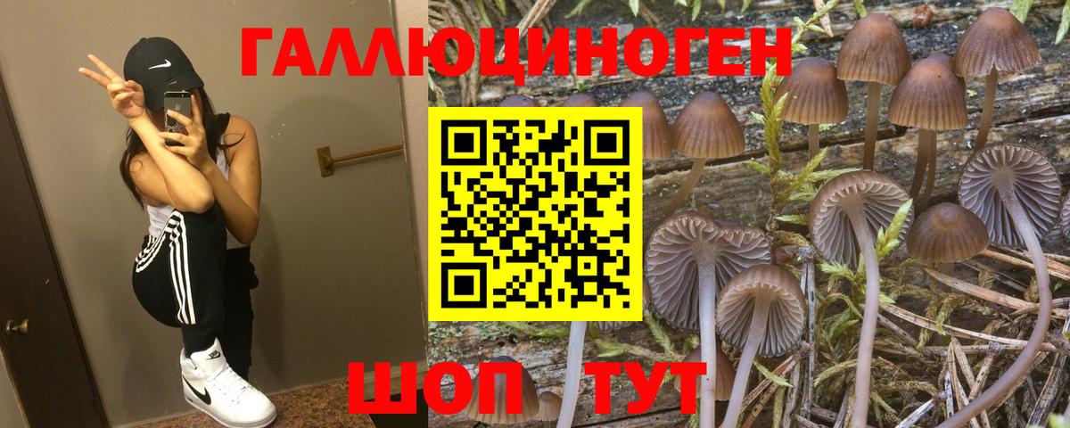 Псилоцибиновые грибы MAGIC MUSHROOMS  Вход с VPN  что такое   Белореченск 