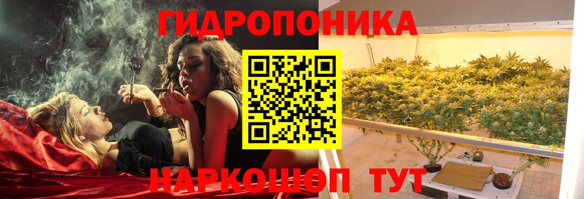 Бошки Шишки семена  Марихуана планчик  Канабис конопля  Белореченск  Вход с VPN  Бошки марихуана SATIVA & INDICA 